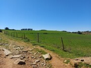 Terreno Rstico - Castro Vicente, Mogadouro, Bragana - Miniatura: 5/9
