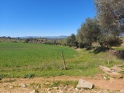Terreno Rstico - Castro Vicente, Mogadouro, Bragana - Miniatura: 6/9
