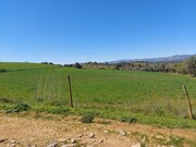 Terreno Rstico - Castro Vicente, Mogadouro, Bragana - Miniatura: 7/9