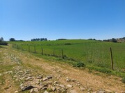 Terreno Rstico - Castro Vicente, Mogadouro, Bragana - Miniatura: 8/9