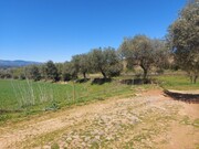 Terreno Rstico - Castro Vicente, Mogadouro, Bragana - Miniatura: 9/9