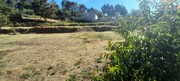 Terreno Rstico - Couto de Esteves, Sever do Vouga, Aveiro - Miniatura: 2/4