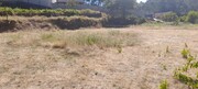 Terreno Rstico - Couto de Esteves, Sever do Vouga, Aveiro - Miniatura: 4/4