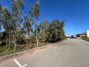 Terreno Rstico - Pinheiro da Bemposta, Oliveira de Azemis, Aveiro - Miniatura: 2/9