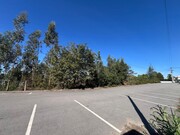 Terreno Rstico - Pinheiro da Bemposta, Oliveira de Azemis, Aveiro - Miniatura: 4/9