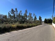 Terreno Rstico - Pinheiro da Bemposta, Oliveira de Azemis, Aveiro - Miniatura: 7/9