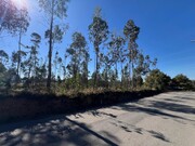 Terreno Rstico - Pinheiro da Bemposta, Oliveira de Azemis, Aveiro - Miniatura: 8/9