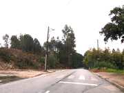 Terreno Rstico - Oliveira do Conde, Carregal do Sal, Viseu - Miniatura: 4/8