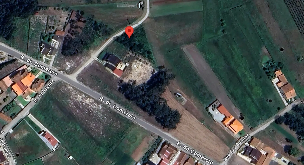 Terreno R�stico - Cov�o do Lobo, Vagos, Aveiro - Miniatura: 1/9