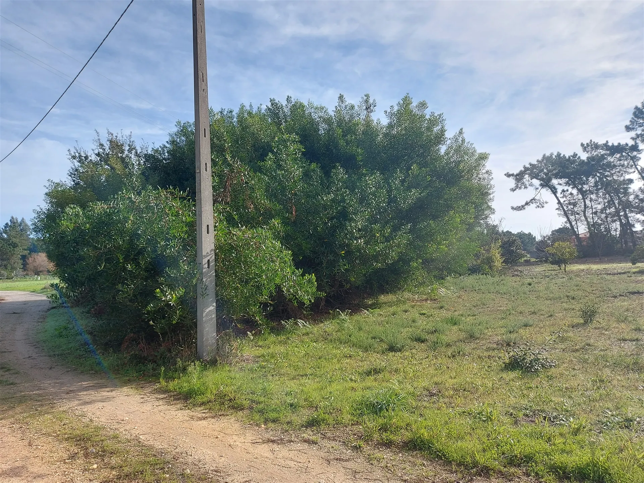 Terreno R�stico - Cov�o do Lobo, Vagos, Aveiro - Miniatura: 2/9