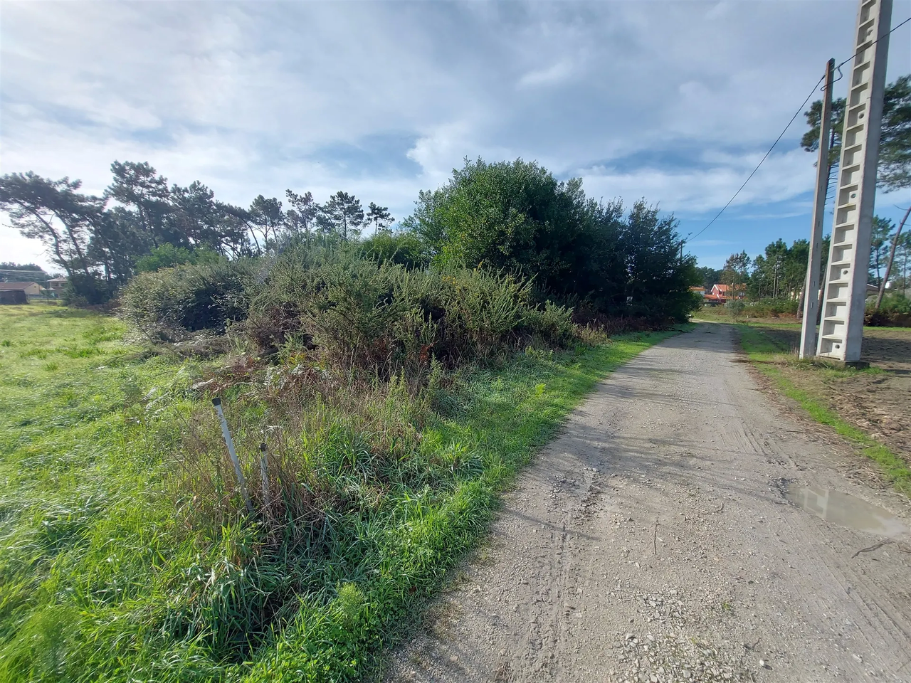 Terreno R�stico - Cov�o do Lobo, Vagos, Aveiro - Miniatura: 5/9