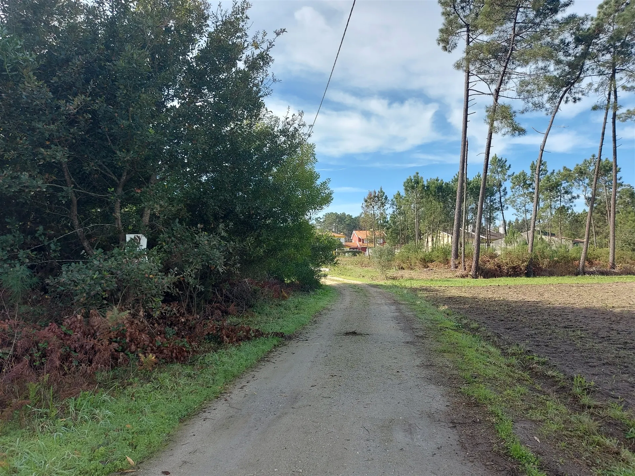 Terreno R�stico - Cov�o do Lobo, Vagos, Aveiro - Miniatura: 6/9