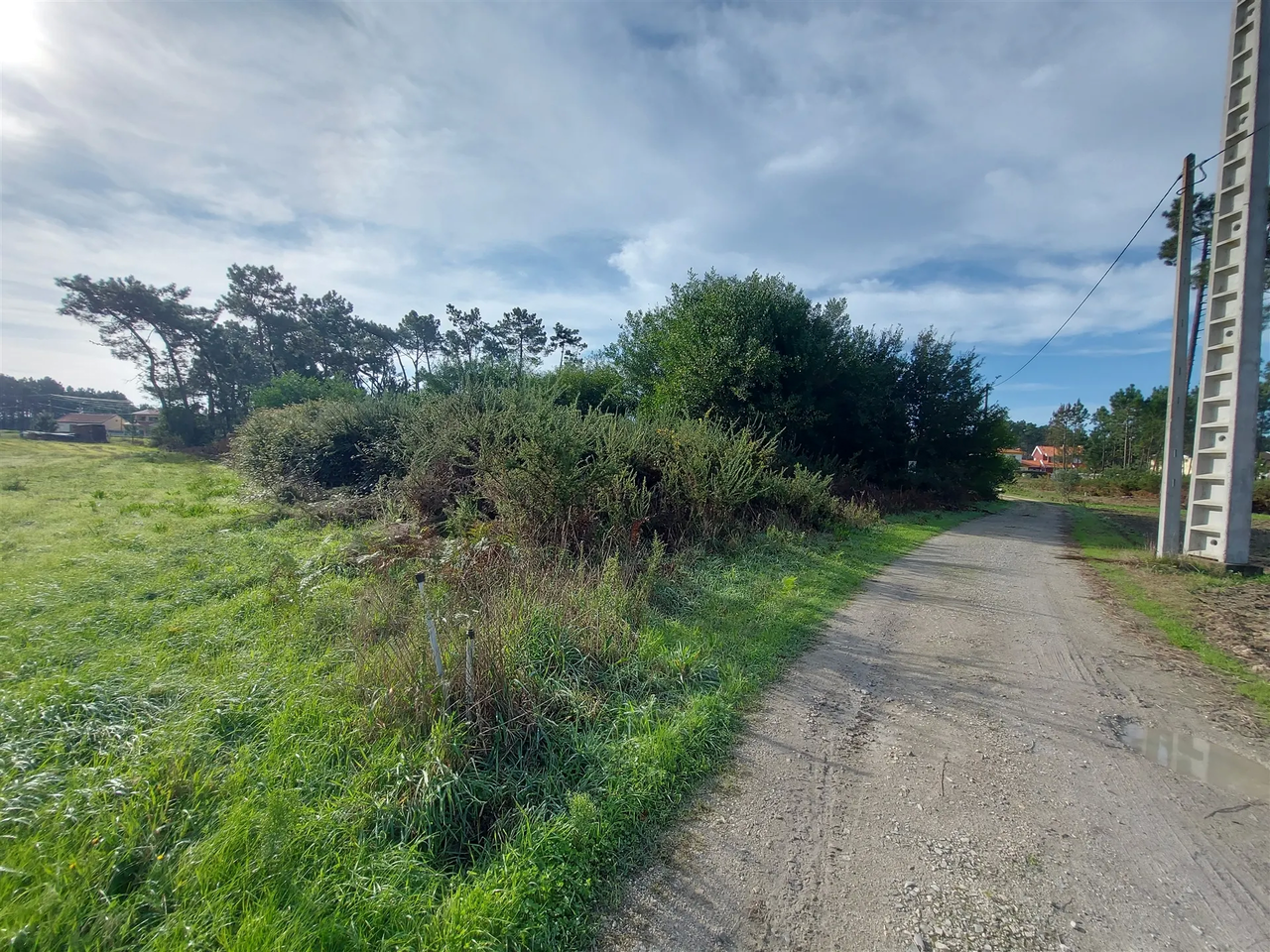 Terreno R�stico - Cov�o do Lobo, Vagos, Aveiro - Miniatura: 7/9