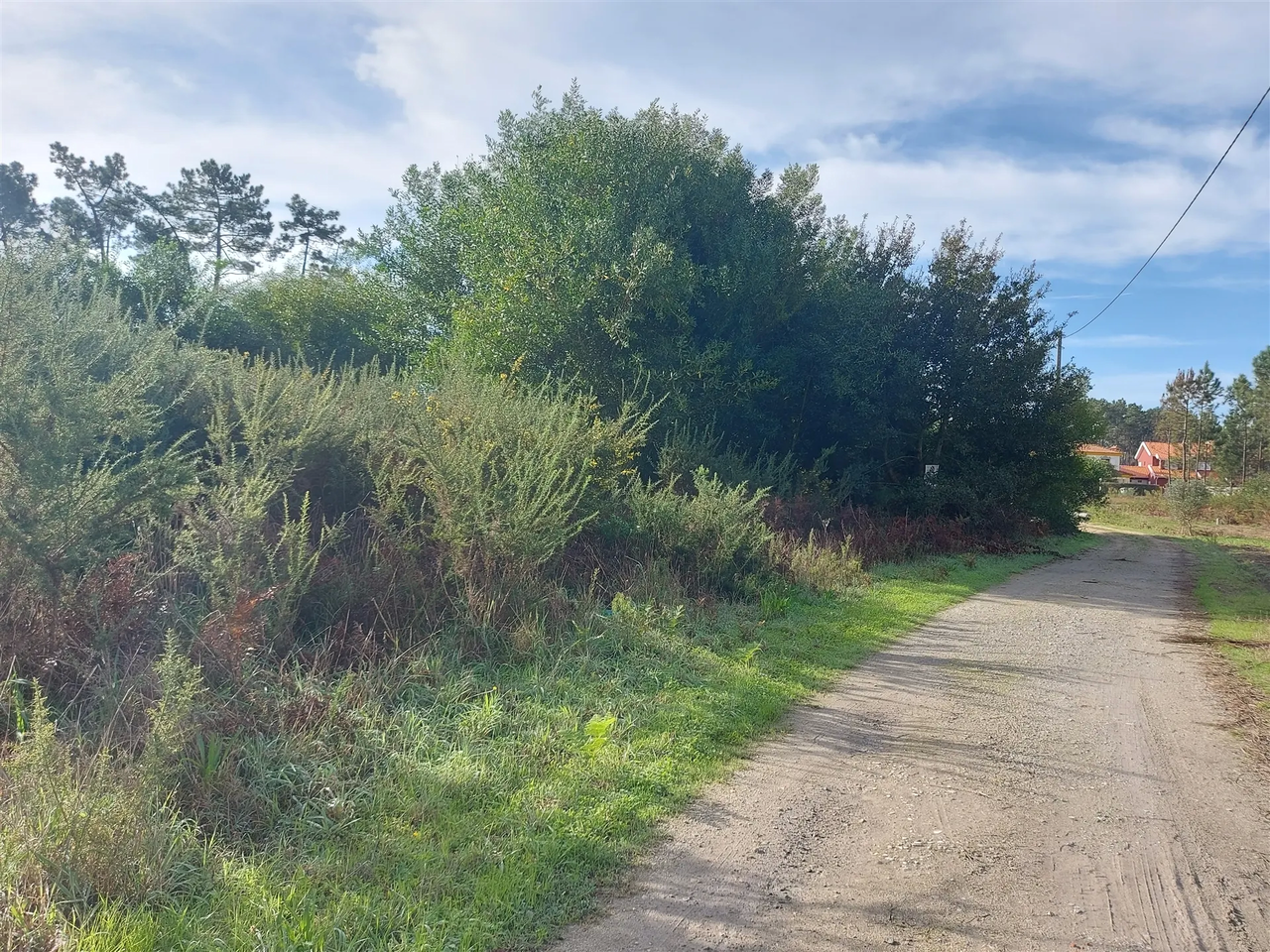 Terreno R�stico - Cov�o do Lobo, Vagos, Aveiro - Miniatura: 8/9