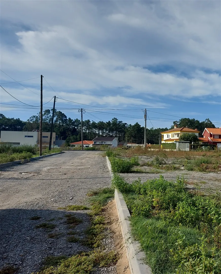 Terreno R�stico - Cov�o do Lobo, Vagos, Aveiro - Miniatura: 9/9
