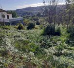 Terreno R�stico - Pessegueiro do Vouga, Sever do Vouga, Aveiro - Miniatura: 2/4