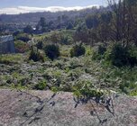 Terreno R�stico - Pessegueiro do Vouga, Sever do Vouga, Aveiro - Miniatura: 3/4