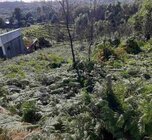 Terreno R�stico - Pessegueiro do Vouga, Sever do Vouga, Aveiro - Miniatura: 4/4