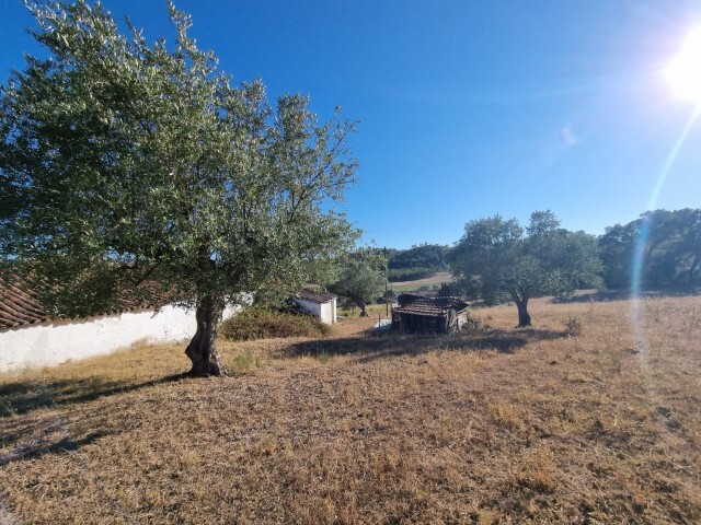 Quinta - Santarem, Santarém, Santarém - Imagem grande