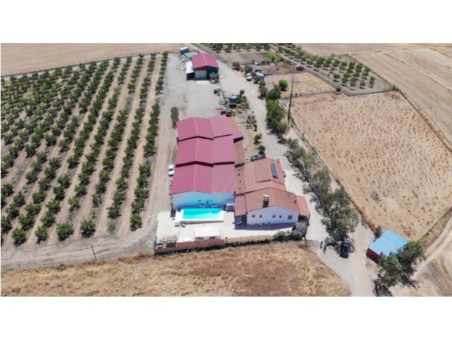 Terreno Rústico T3 - Safara, Moura, Beja - Imagem grande