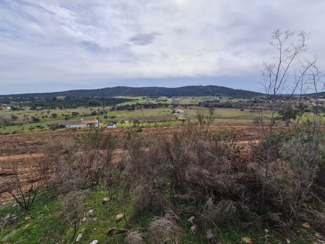 Terreno Rstico - Esperana, Arronches, Portalegre - Imagem grande