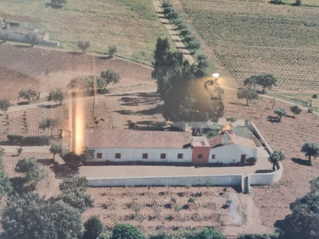 Terreno Rstico T6 - Vila de Frades, Vidigueira, Beja - Imagem grande