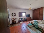 Terreno Rstico T6 - Vila de Frades, Vidigueira, Beja - Miniatura: 2/9