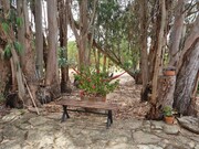 Terreno Rstico T6 - Vila de Frades, Vidigueira, Beja - Miniatura: 4/9
