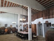 Terreno Rstico T6 - Vila de Frades, Vidigueira, Beja - Miniatura: 9/9