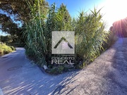 Terreno R�stico - Madalena, Vila Nova de Gaia, Porto - Miniatura: 4/9