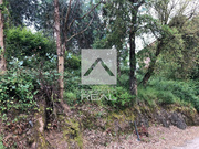 Terreno R�stico - F�nzeres, Gondomar, Porto - Miniatura: 5/5