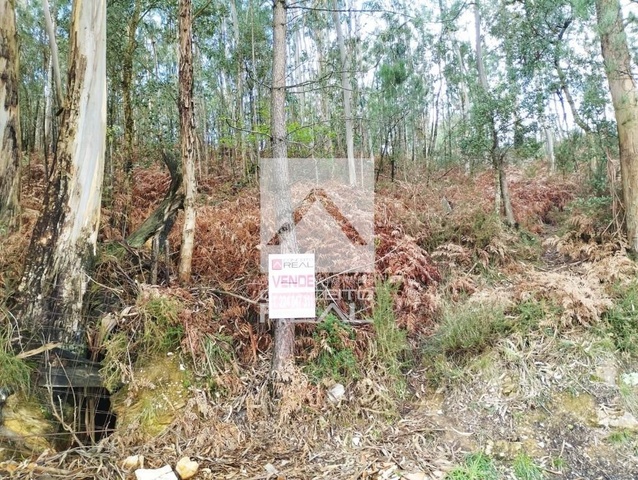 Terreno R�stico - F�nzeres, Gondomar, Porto - Imagem grande