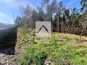 Terreno Rstico - Argoncilhe, Santa Maria da Feira, Aveiro - Miniatura: 4/9