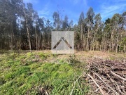 Terreno Rstico - Argoncilhe, Santa Maria da Feira, Aveiro - Miniatura: 5/9