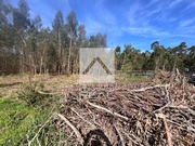 Terreno Rstico - Argoncilhe, Santa Maria da Feira, Aveiro - Miniatura: 6/9