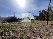 Terreno Rstico - Argoncilhe, Santa Maria da Feira, Aveiro - Miniatura: 7/9