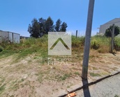 Terreno Rstico - Fnzeres, Gondomar, Porto - Miniatura: 5/5