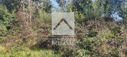 Terreno Rstico - Gondomar, Gondomar, Porto - Miniatura: 2/5