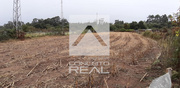 Terreno R�stico - Alfena, Valongo, Porto - Miniatura: 4/6