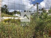 Terreno R�stico - Alfena, Valongo, Porto - Miniatura: 4/7