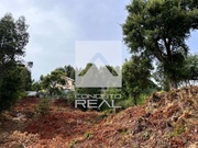 Terreno R�stico - Madalena, Vila Nova de Gaia, Porto - Miniatura: 2/9