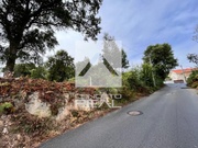 Terreno R�stico - Madalena, Vila Nova de Gaia, Porto - Miniatura: 5/9