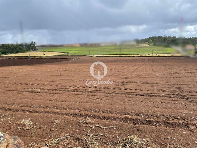 Terreno R�stico - Balazar, P�voa de Varzim, Porto - Imagem grande