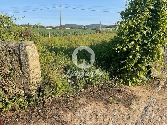 Terreno R�stico - Rates, P�voa de Varzim, Porto - Imagem grande