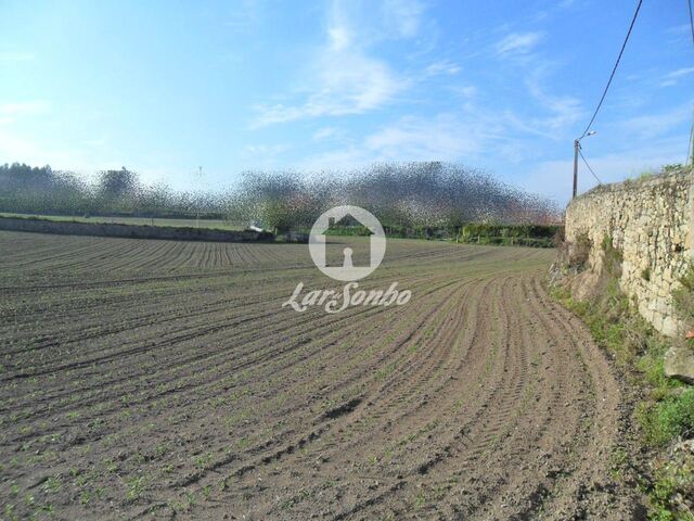 Terreno R�stico - Malta, Vila do Conde, Porto - Imagem grande