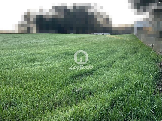 Terreno R�stico - Balazar, P�voa de Varzim, Porto - Imagem grande