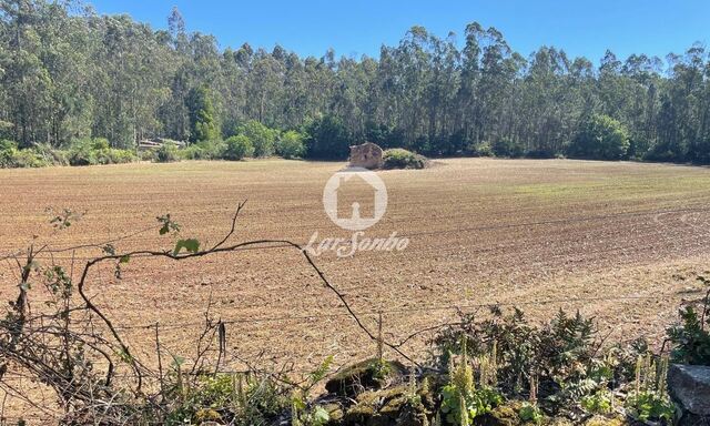 Terreno R�stico - Balazar, P�voa de Varzim, Porto - Imagem grande