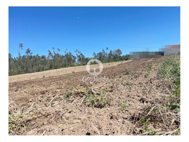 Terreno R�stico - CHORENTE, Barcelos, Braga - Imagem grande