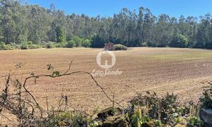 Terreno R�stico - Balazar, P�voa de Varzim, Porto