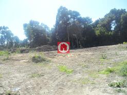 Terreno R�stico - Arvore, Vila do Conde, Porto